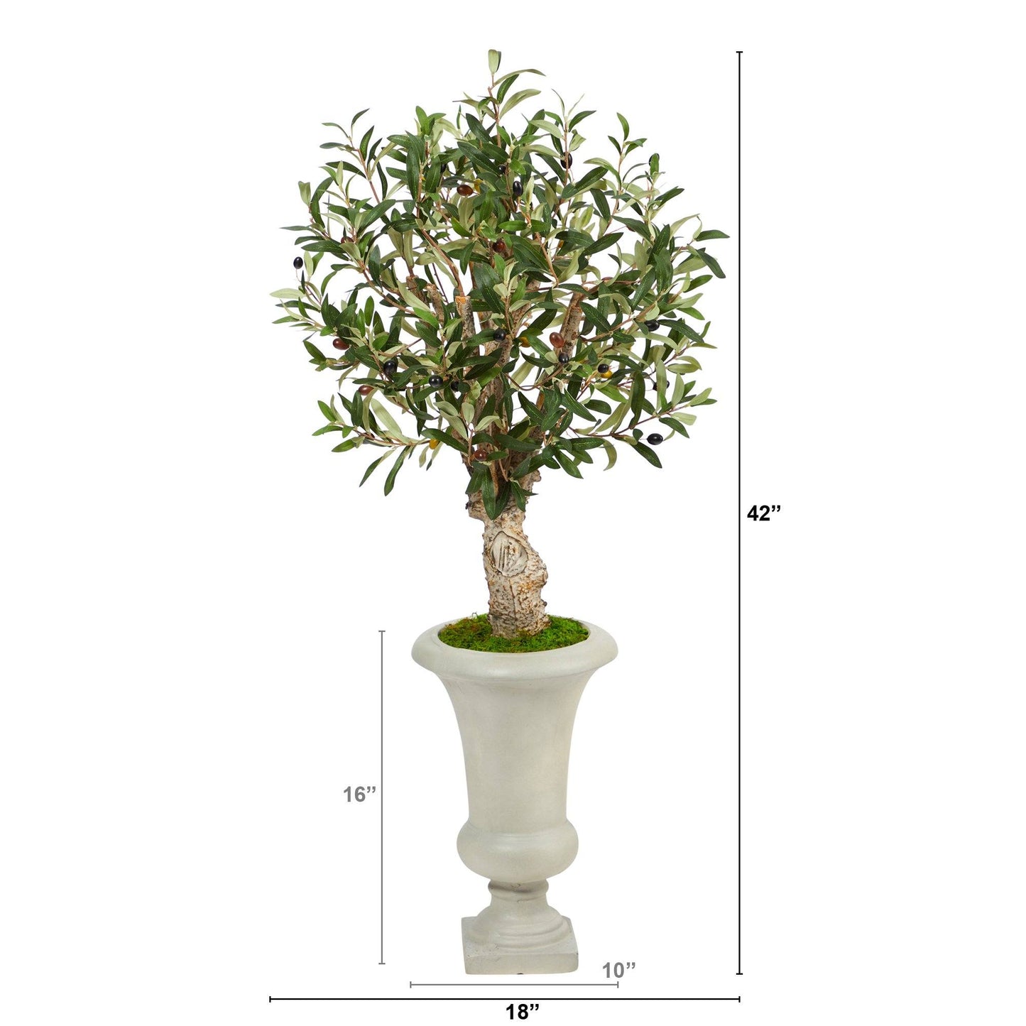 3.5’ Olive Artificial Tree in Sand Colored Urn - Tampa Home & Garden Store