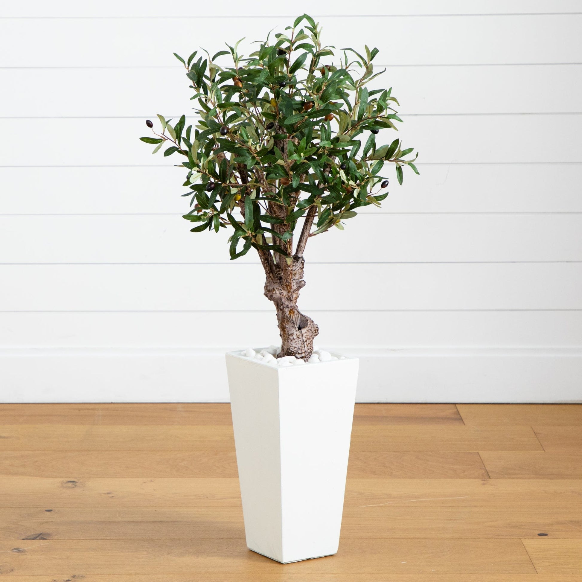 3.5’ Olive Tree in White Tower Planter - Tampa Home & Garden Store
