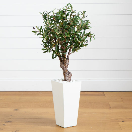 3.5’ Olive Tree in White Tower Planter - Tampa Home & Garden Store