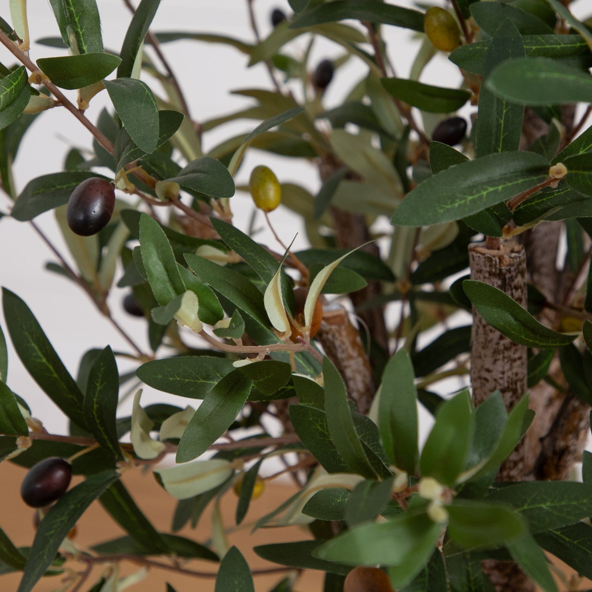3.5’ Olive Tree in White Tower Planter - Tampa Home & Garden Store