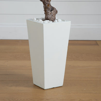 3.5’ Olive Tree in White Tower Planter - Tampa Home & Garden Store