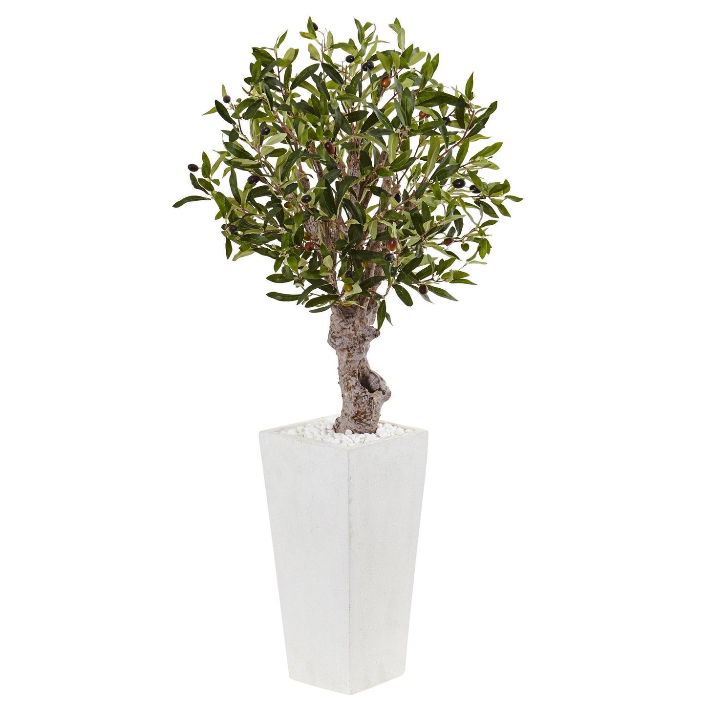 3.5’ Olive Tree in White Tower Planter - Tampa Home & Garden Store