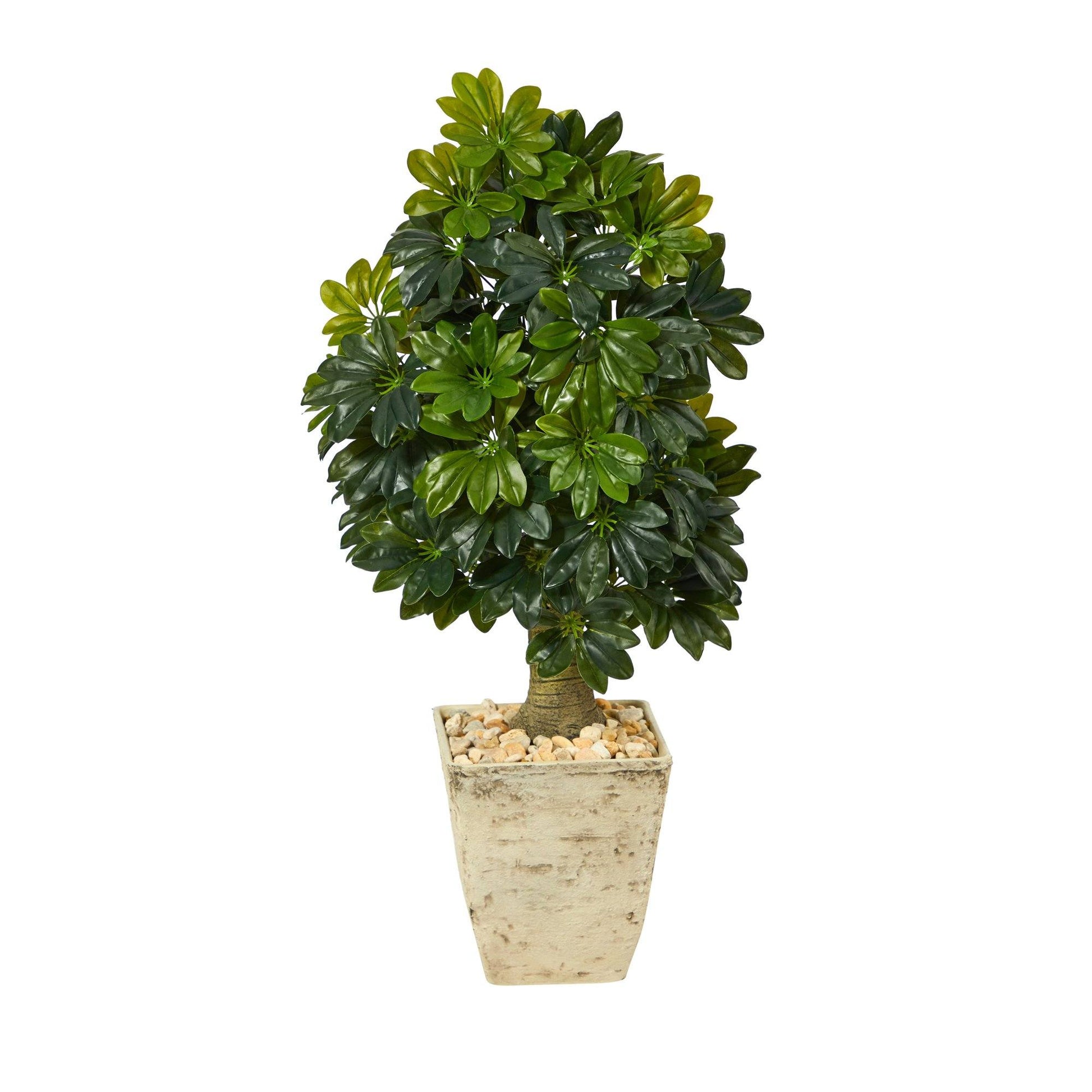3.5’ Schefflera Artificial Tree in Country White Planter (Real Touch) - Tampa Home & Garden Store
