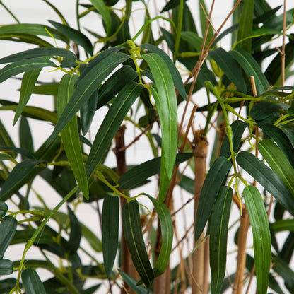 3.5' Twiggy Bamboo Tree - Tampa Home & Garden Store