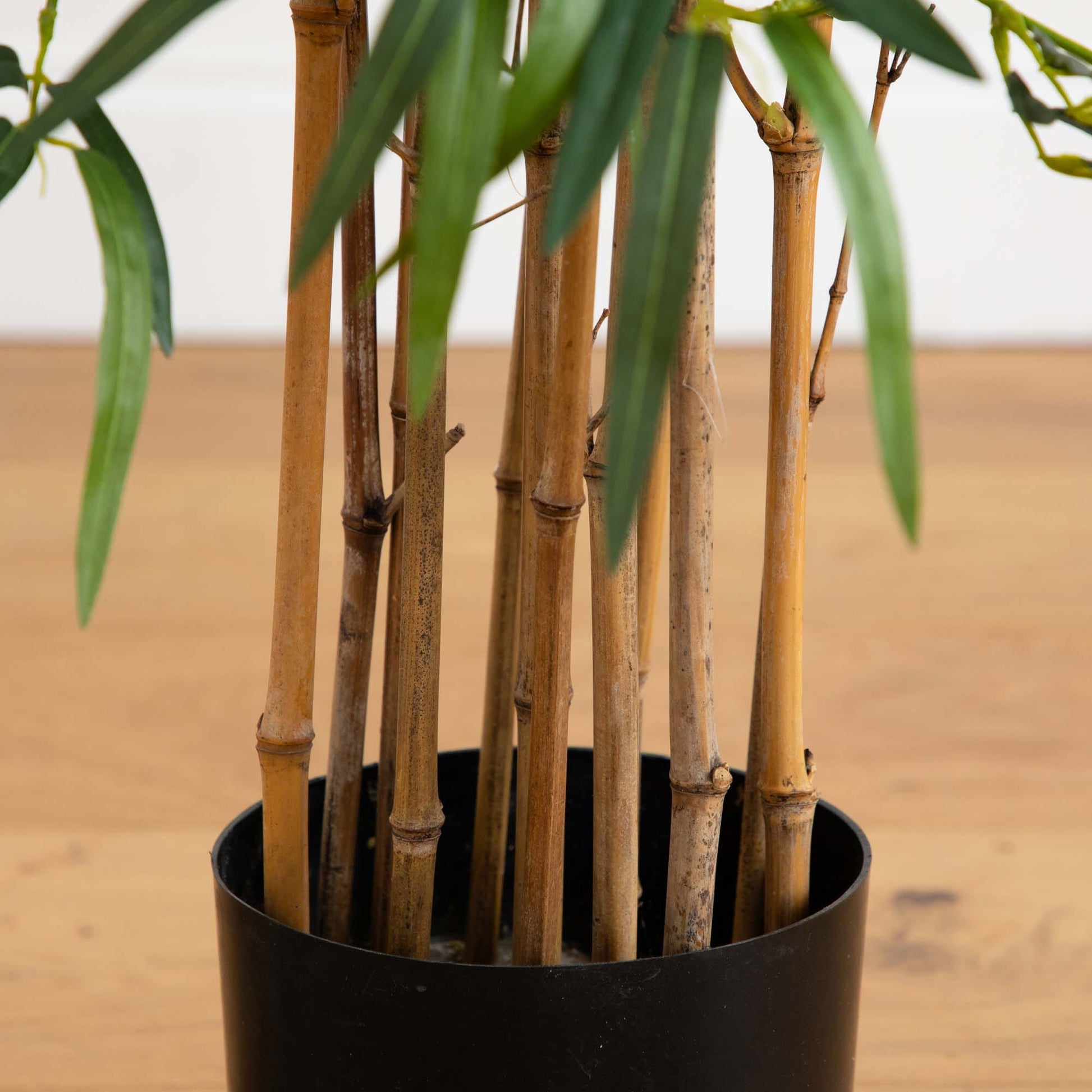 3.5' Twiggy Bamboo Tree - Tampa Home & Garden Store