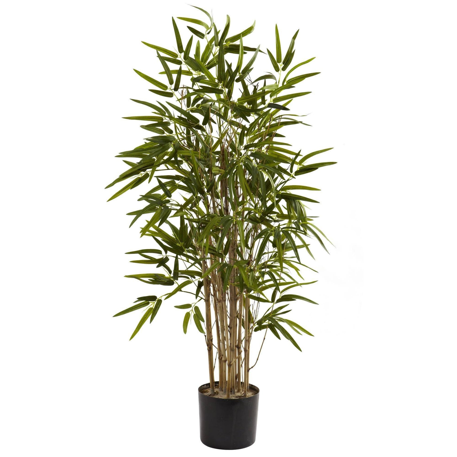 3.5' Twiggy Bamboo Tree - Tampa Home & Garden Store