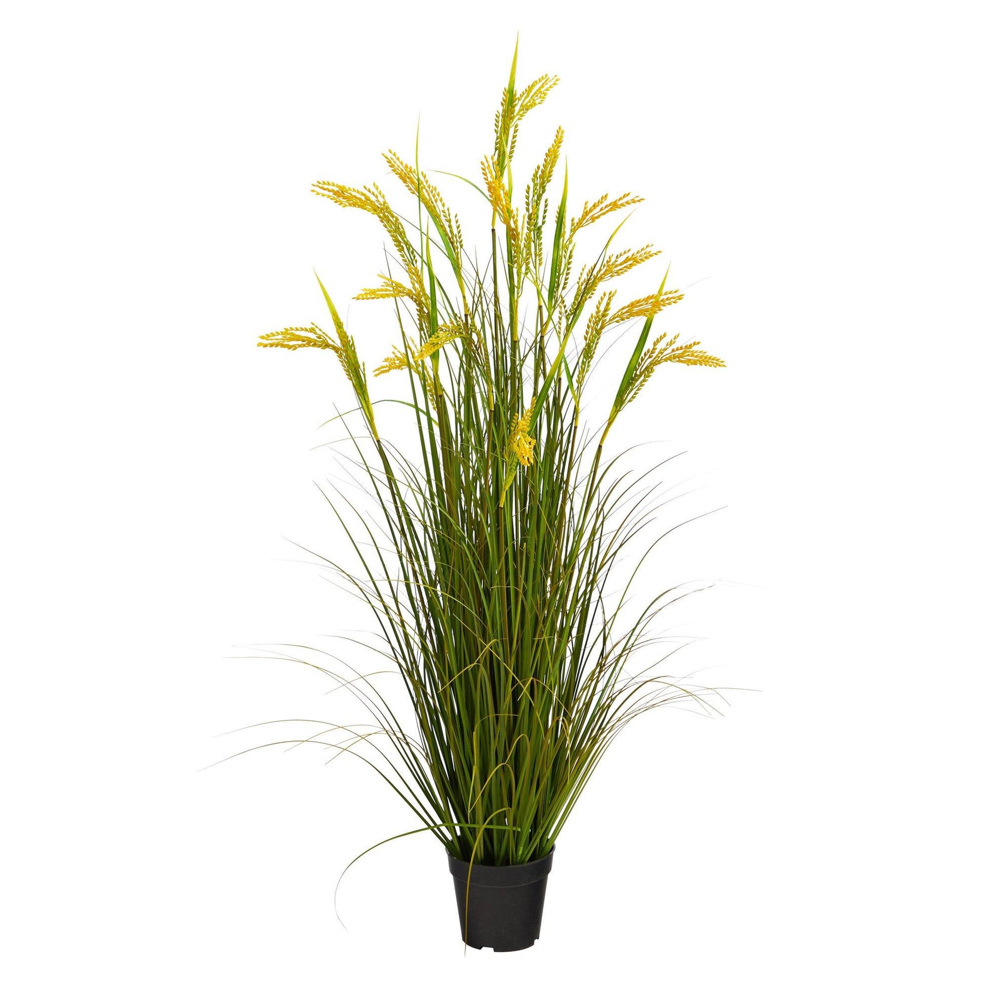 3.5’ Wheat Grain Artificial Plant - Tampa Home & Garden Store