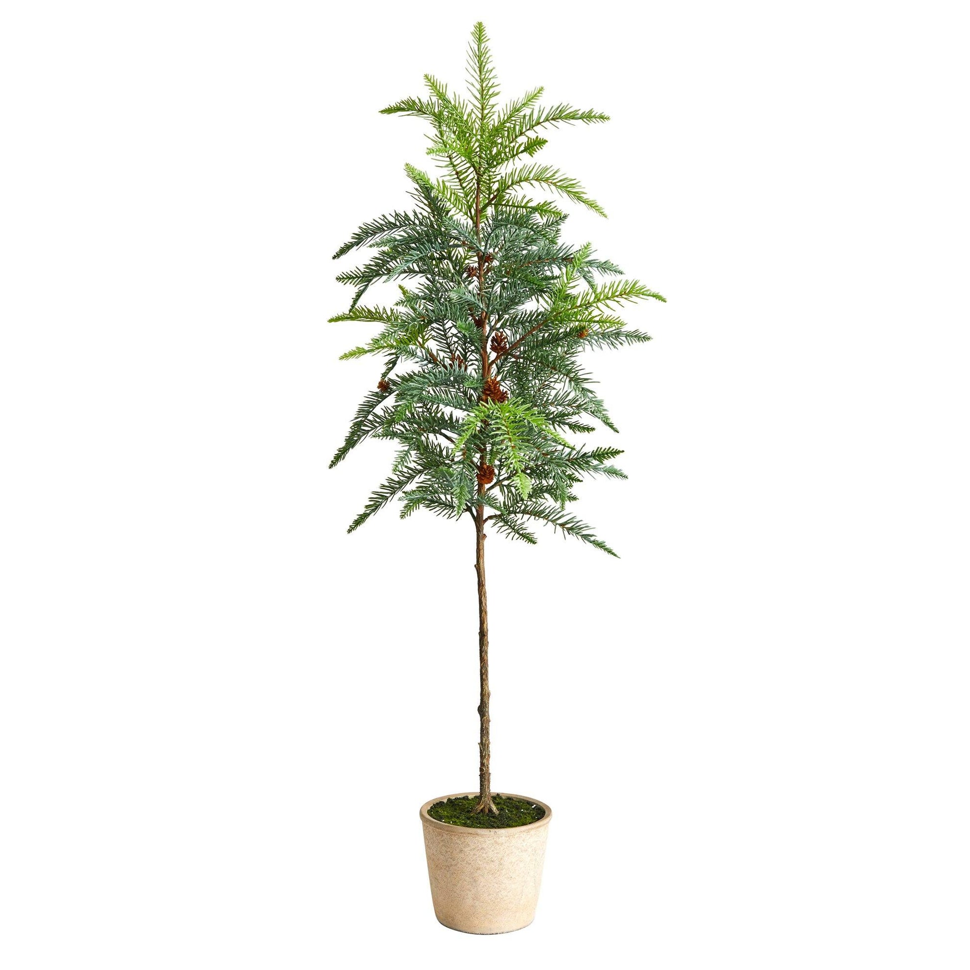 3.5' Winniepeg Artificial Pine Christmas Tree in Decorative Planter - Tampa Home & Garden Store