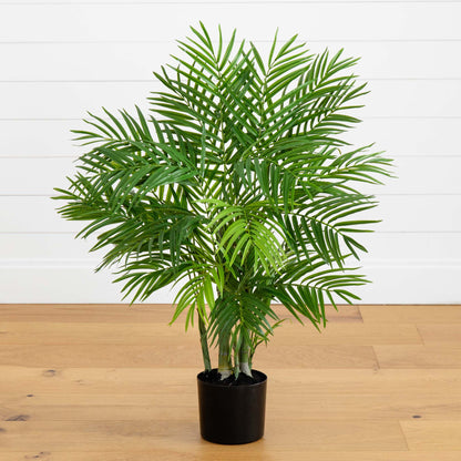 3' Areca Silk Palm Tree - Tampa Home & Garden Store