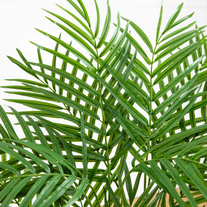 3' Areca Silk Palm Tree - Tampa Home & Garden Store