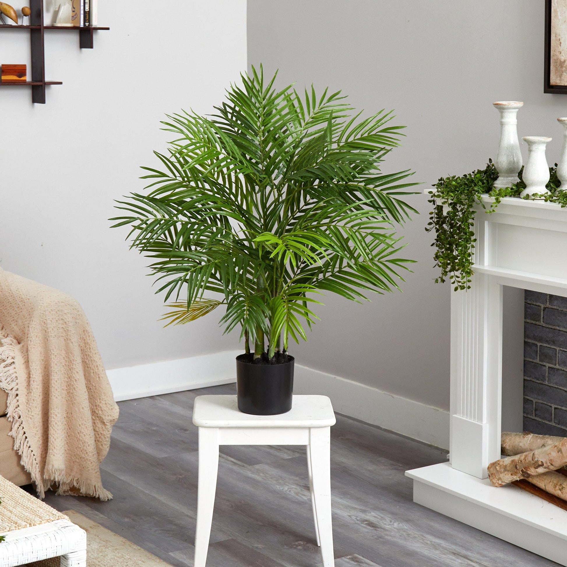 3' Areca Silk Palm Tree - Tampa Home & Garden Store