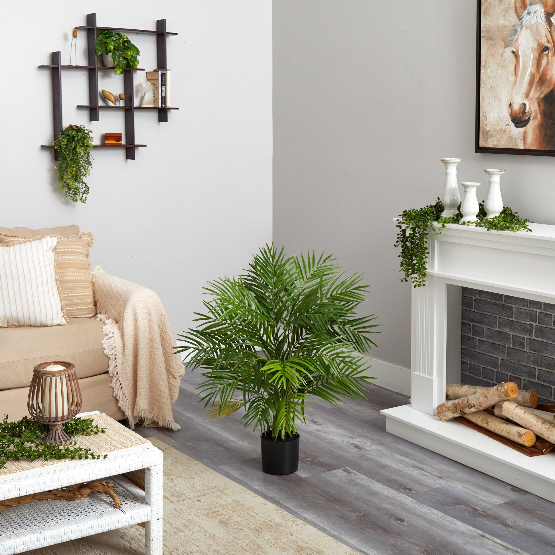 3' Areca Silk Palm Tree - Tampa Home & Garden Store