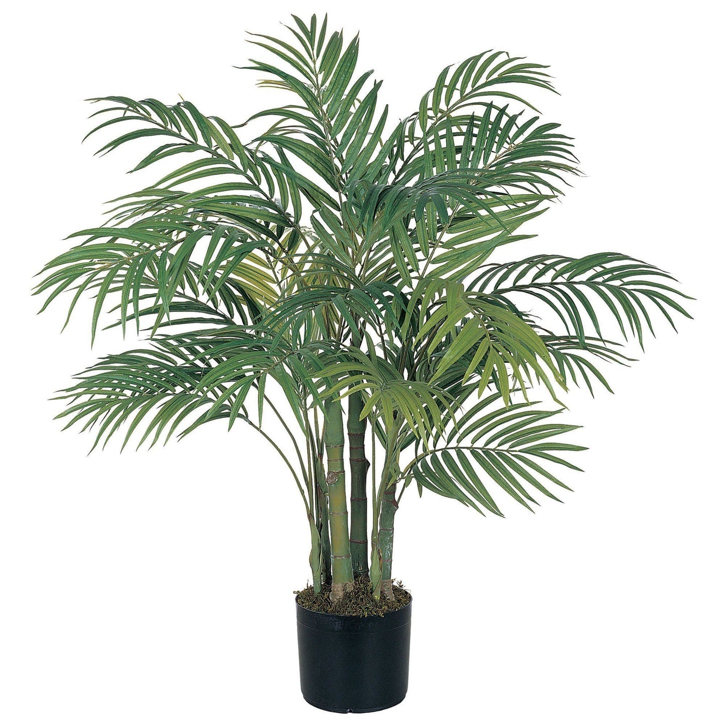 3' Areca Silk Palm Tree - Tampa Home & Garden Store