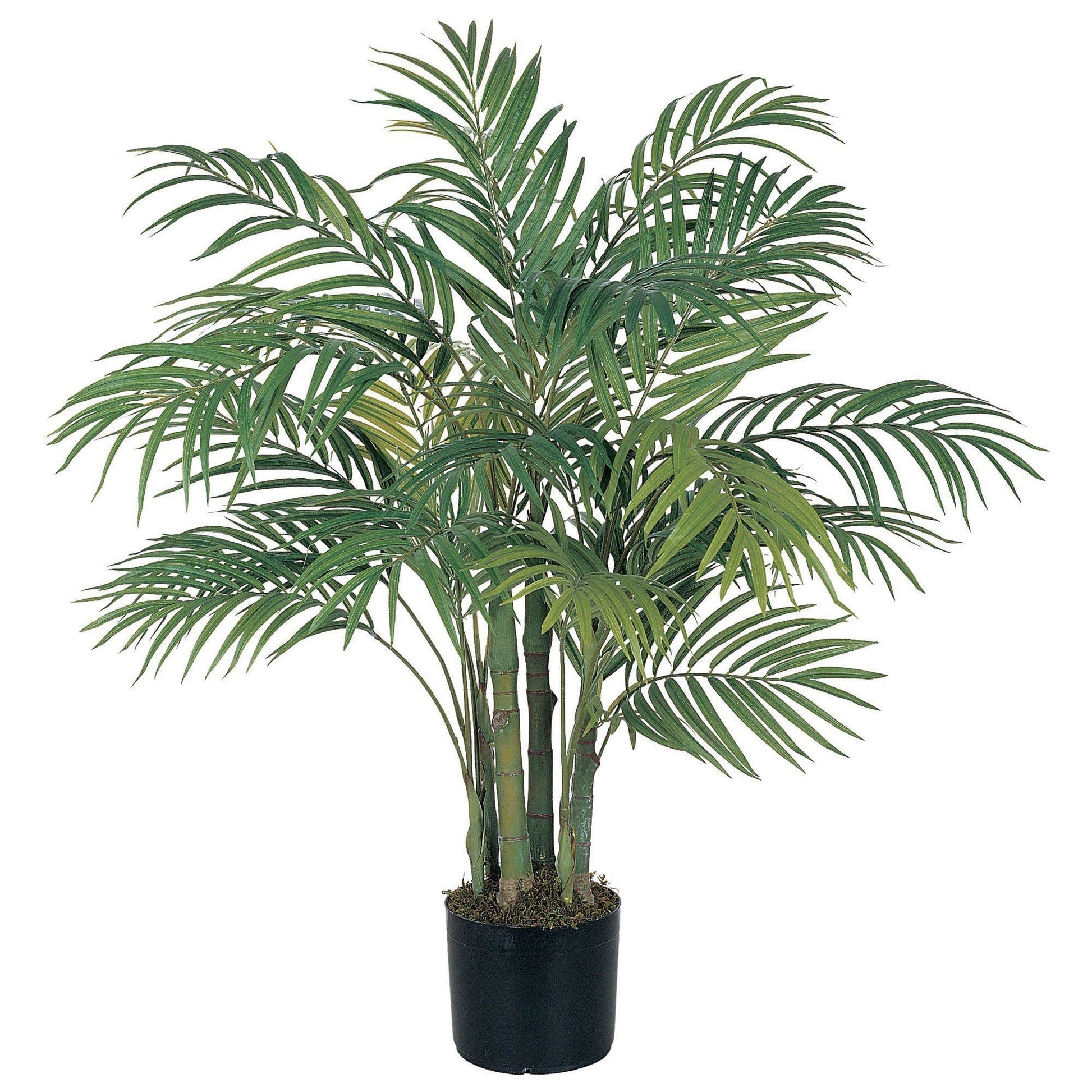 3' Areca Silk Palm Tree - Tampa Home & Garden Store