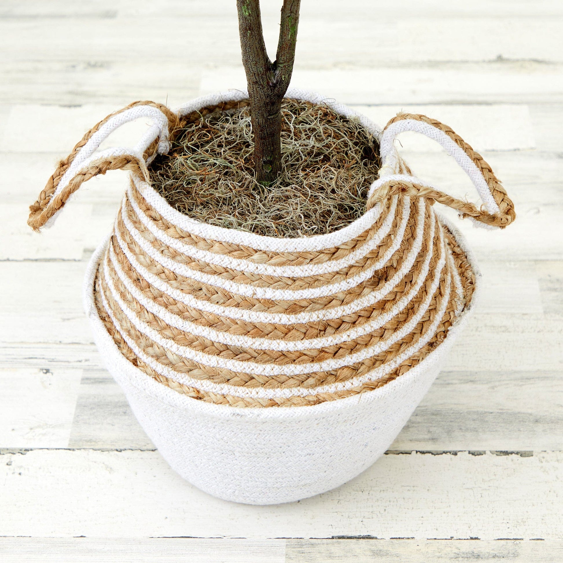 3' Artificial Fiddle Leaf Fig Tree with Handmade Cotton & Jute Woven Basket DIY Kit - Tampa Home & Garden Store
