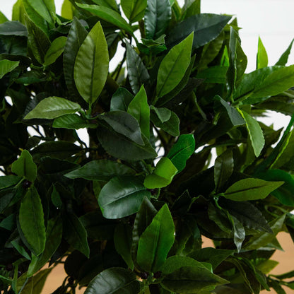 3' Bay Leaf Topiary UV Resistant (Indoor/Outdoor) - Tampa Home & Garden Store