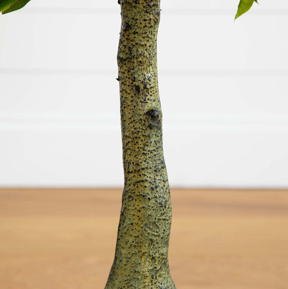3' Bay Leaf Topiary UV Resistant (Indoor/Outdoor) - Tampa Home & Garden Store