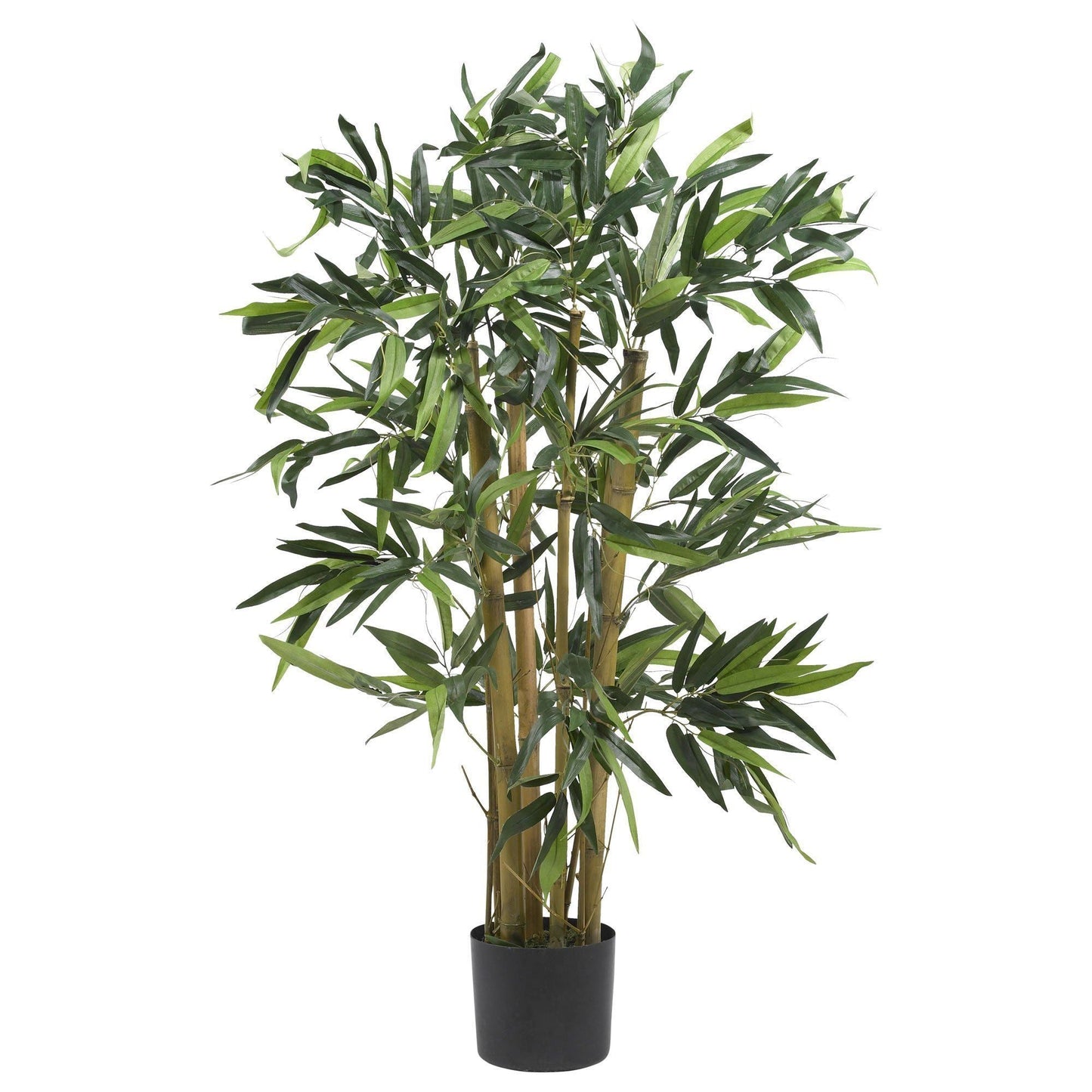 3' Biggy Bamboo Silk Tree - Tampa Home & Garden Store