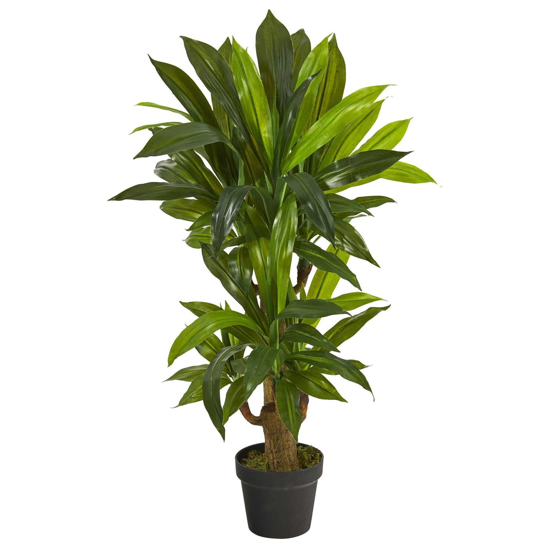 3' Corn Stalk Dracaena Artificial Plant (Real Touch) - Tampa Home & Garden Store