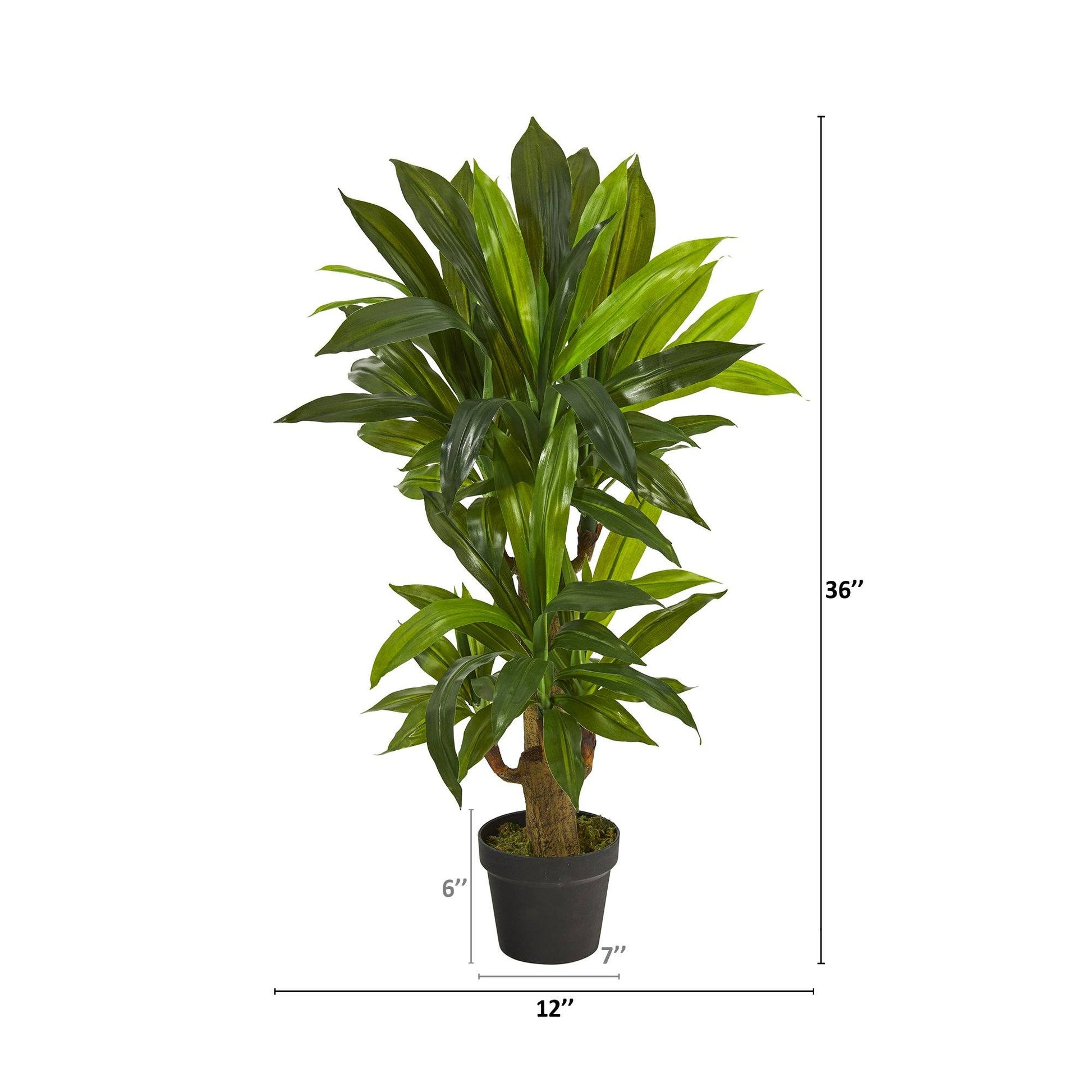 3' Corn Stalk Dracaena Artificial Plant (Real Touch) - Tampa Home & Garden Store
