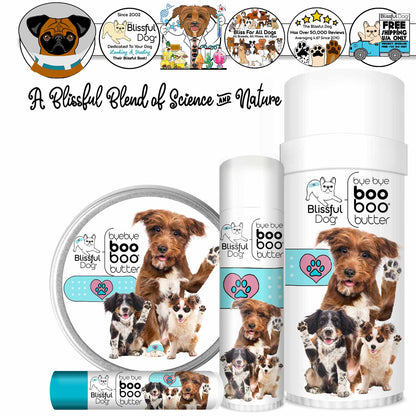 3 Cute Puppies Boo Boo Butter - Tampa Home & Garden Store