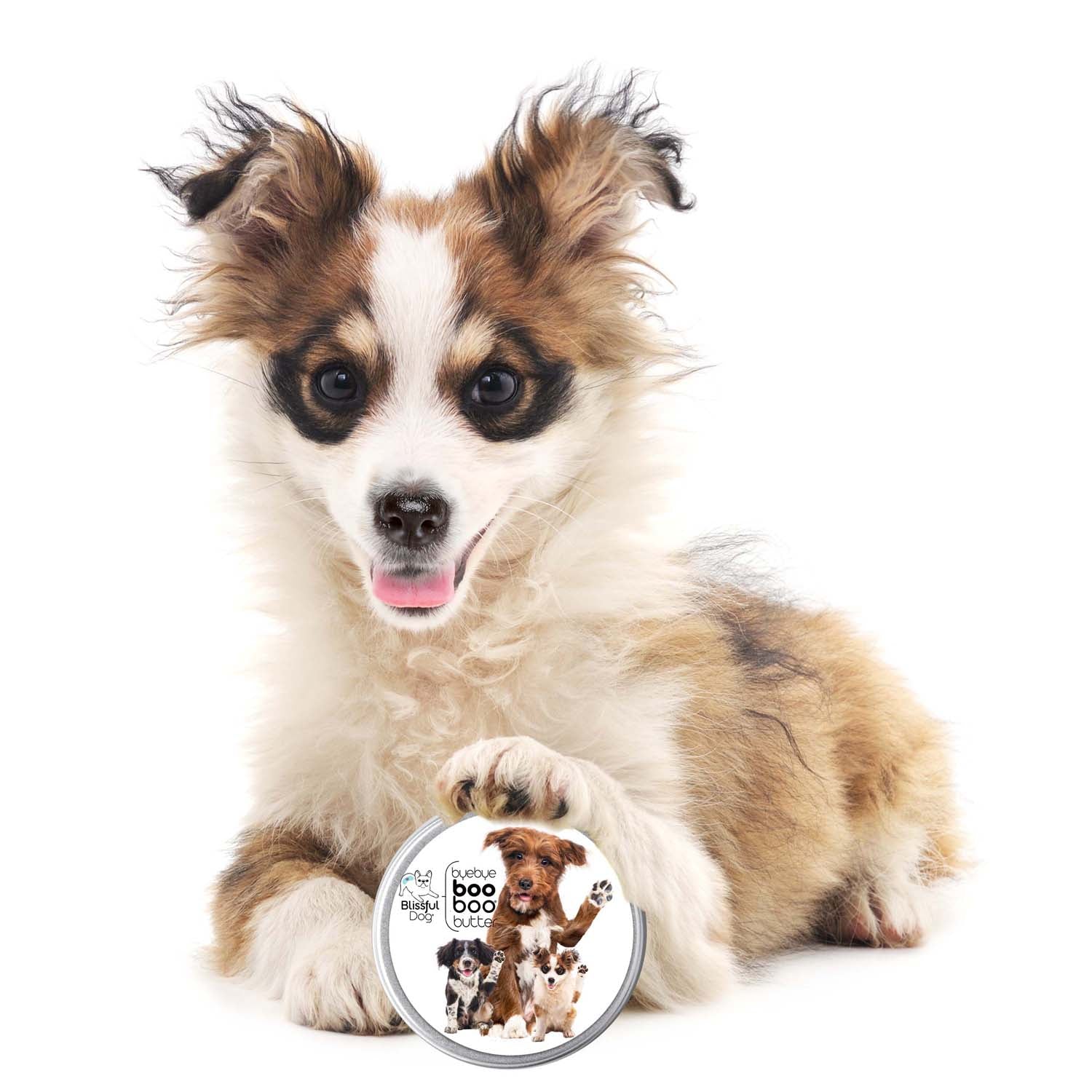3 Cute Puppies Boo Boo Butter - Tampa Home & Garden Store