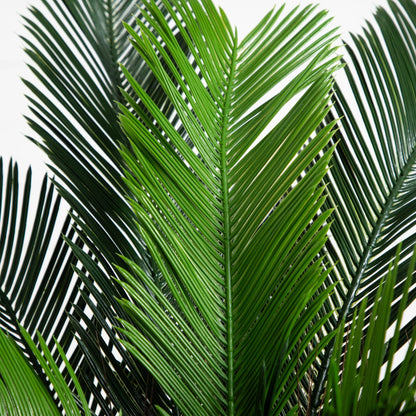 3’ Cycas Palm Tree UV Resistant (Indoor/Outdoor) - Tampa Home & Garden Store