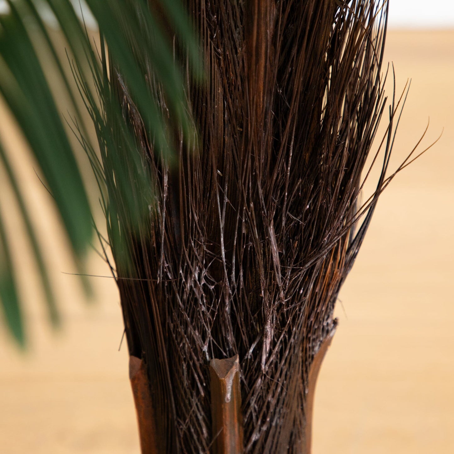 3’ Cycas Palm Tree UV Resistant (Indoor/Outdoor) - Tampa Home & Garden Store