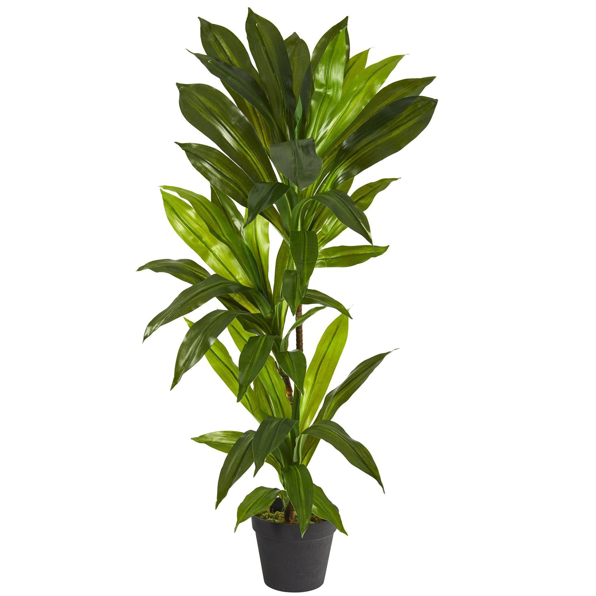 3' Dracaena Artificial Plant (Real Touch) - Tampa Home & Garden Store
