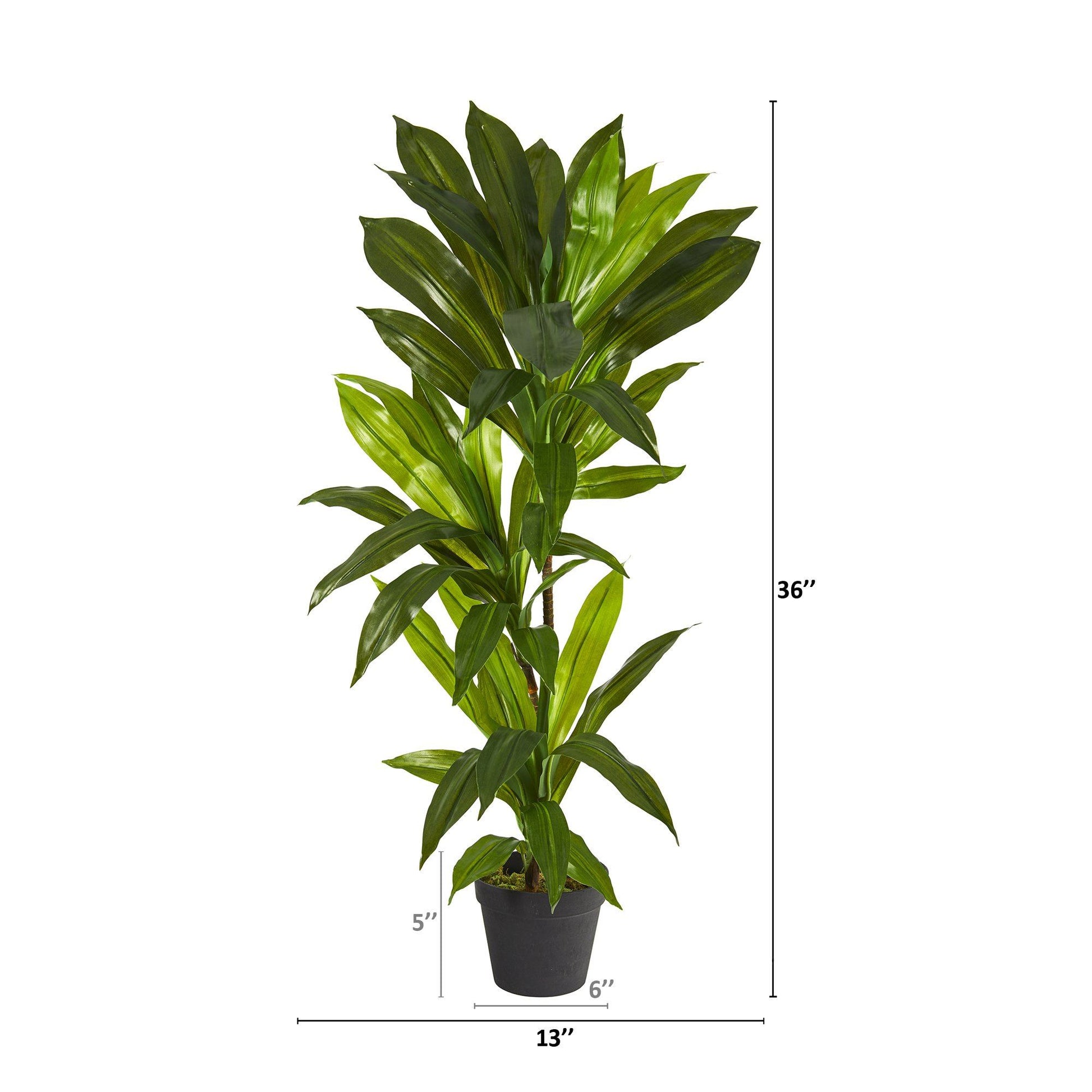 3' Dracaena Artificial Plant (Real Touch) - Tampa Home & Garden Store