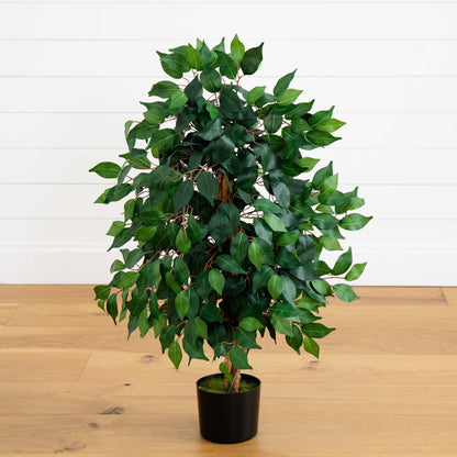 3' Ficus Silk Tree - Tampa Home & Garden Store