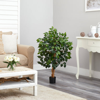 3' Ficus Silk Tree - Tampa Home & Garden Store