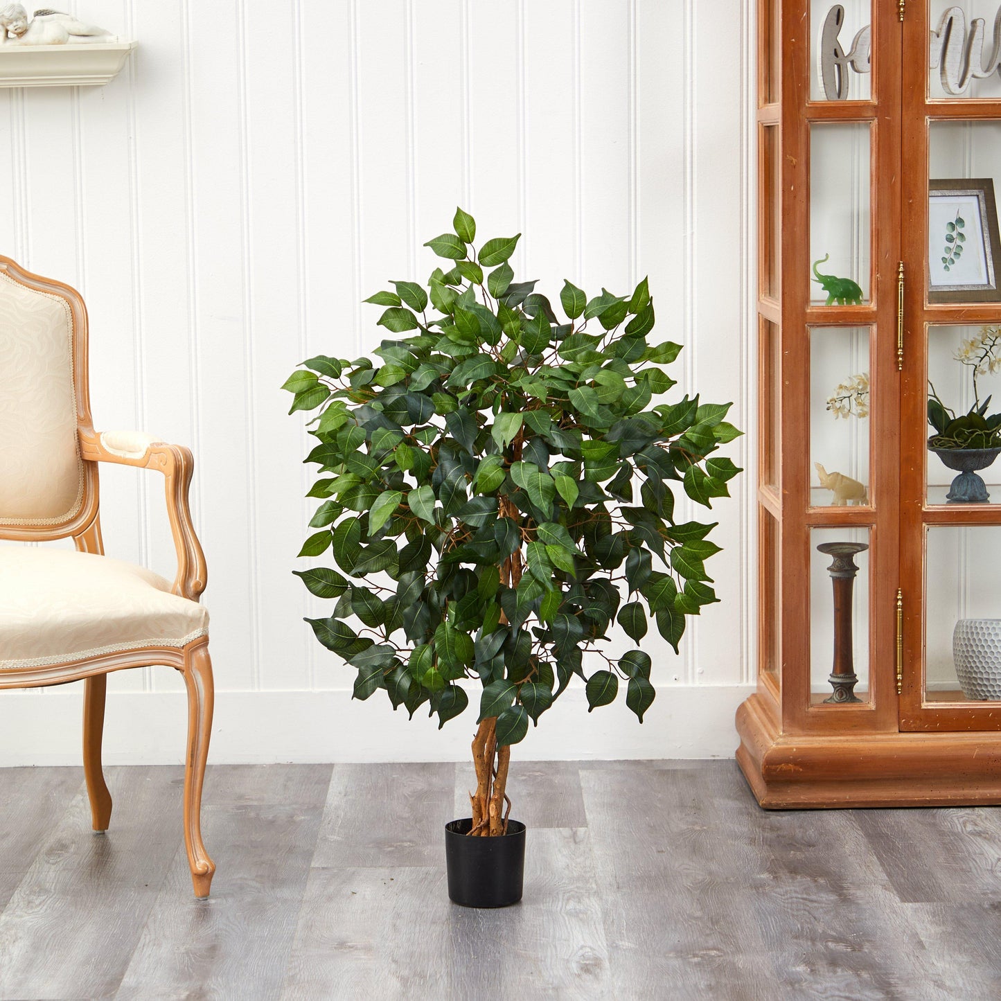 3' Ficus Silk Tree - Tampa Home & Garden Store