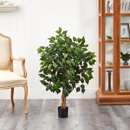 3' Ficus Silk Tree - Tampa Home & Garden Store