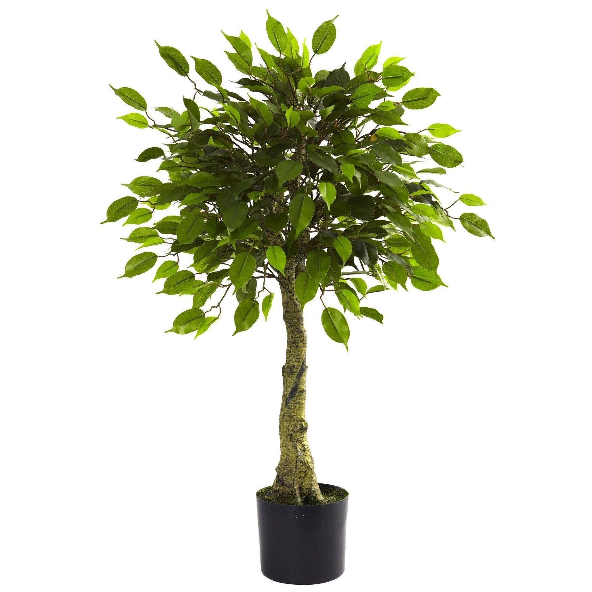 3' Ficus Tree UV Resistant (Indoor/Outdoor) - Tampa Home & Garden Store