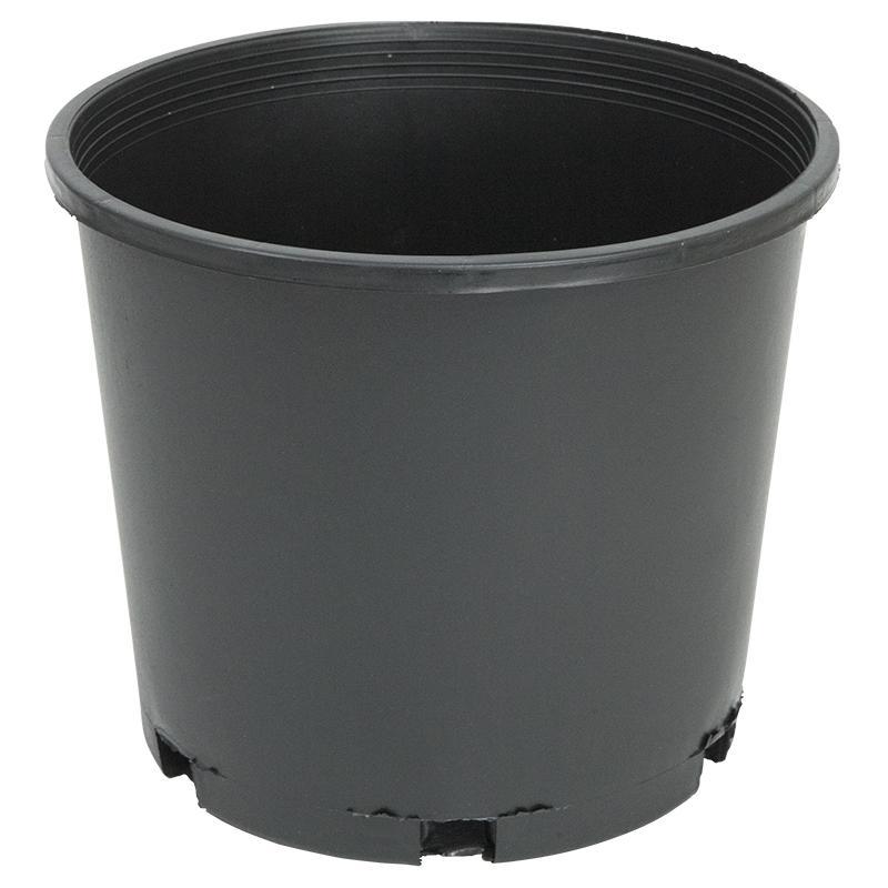 3 Gallon Pot (Black Plastic) - Tampa Home & Garden Store