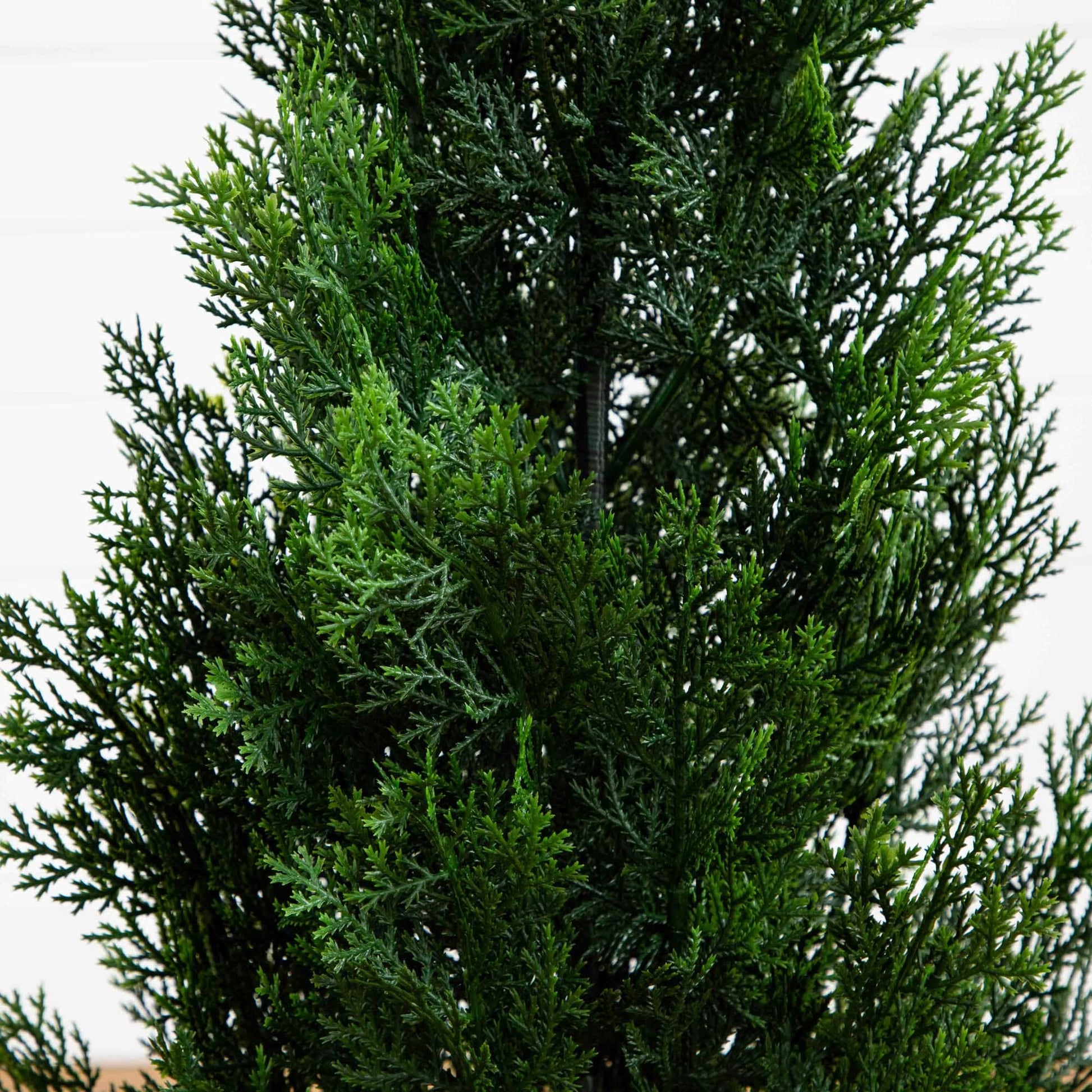 3’ Mini Cedar Pine Tree (Indoor/Outdoor) - Tampa Home & Garden Store