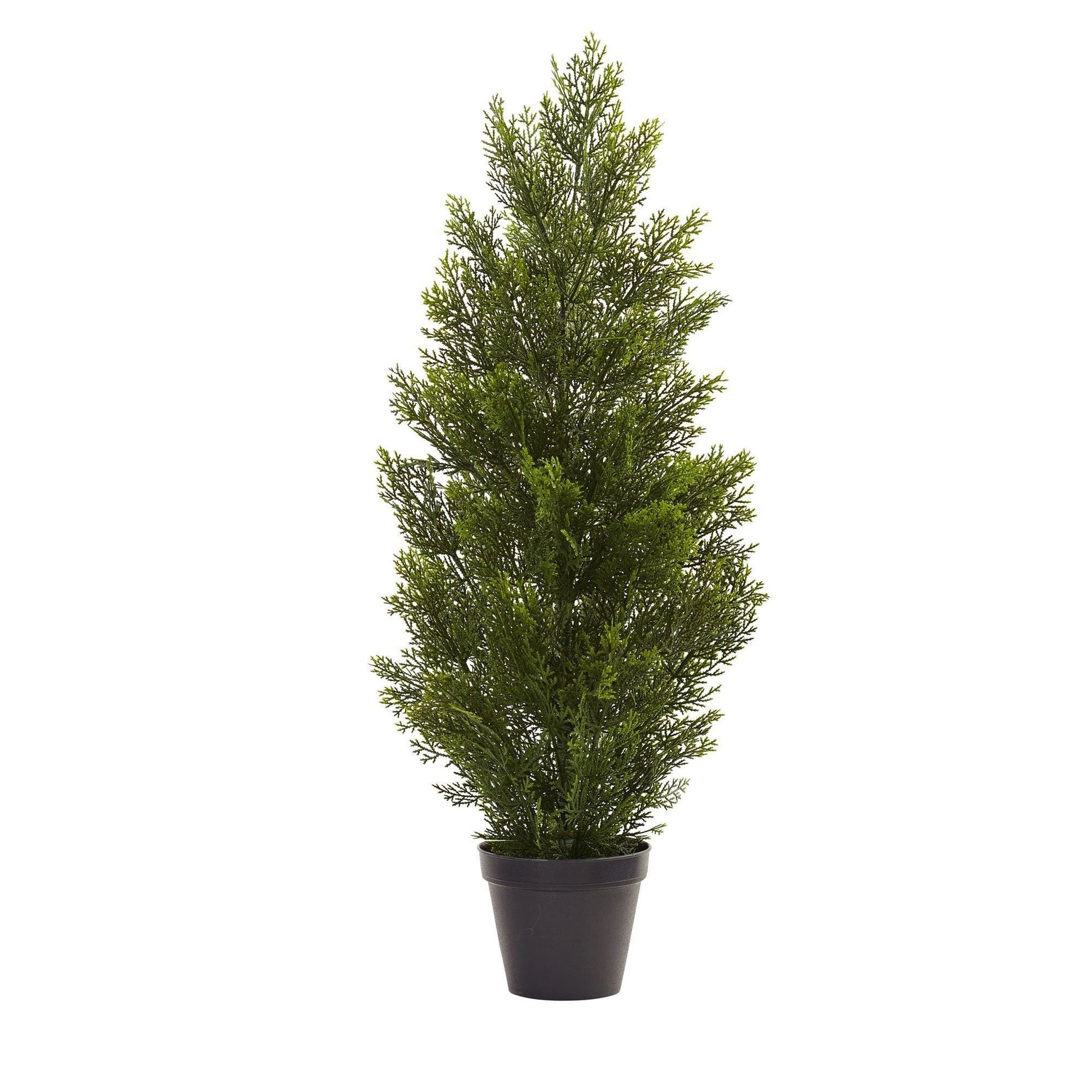 3’ Mini Cedar Pine Tree (Indoor/Outdoor) - Tampa Home & Garden Store