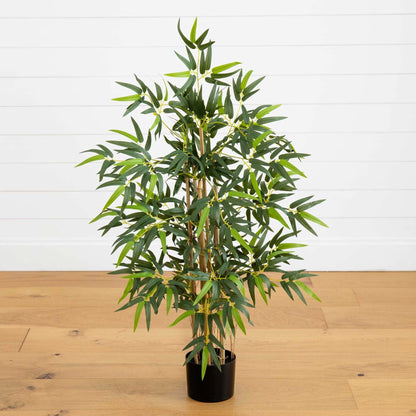 3' Multi Bambusa Bamboo Silk Tree - Tampa Home & Garden Store