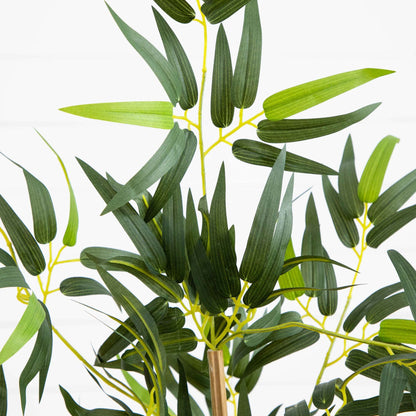 3' Multi Bambusa Bamboo Silk Tree - Tampa Home & Garden Store