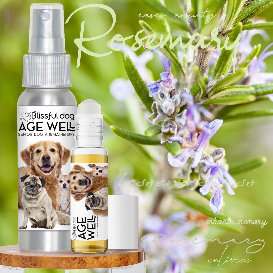 3 Old Friends Age Well Dog Aromatherapy - Tampa Home & Garden Store