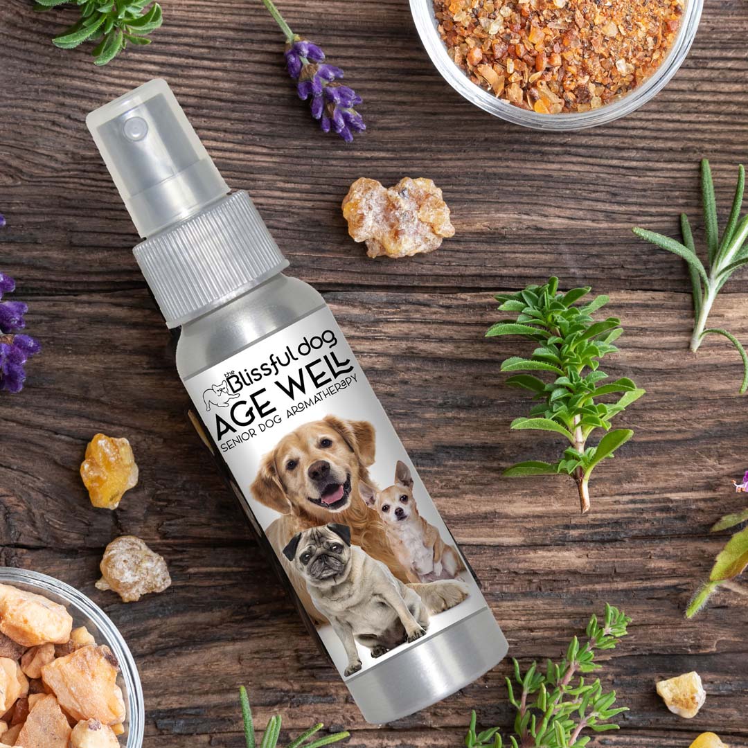 3 Old Friends Age Well Dog Aromatherapy - Tampa Home & Garden Store