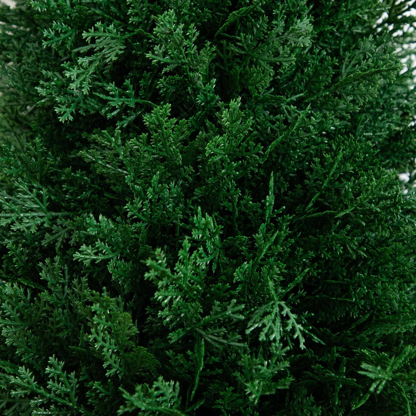 3' UV Resistant Artificial Cedar Plant with Integrated Ground Stake (Indoor/Outdoor) - Set of 2 - Tampa Home & Garden Store