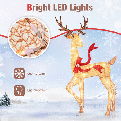 3-Piece Pre-Lit Christmas Deer Family Set DirectDeals with golden LED deer and warm lights on Tampa Home & Garden Store