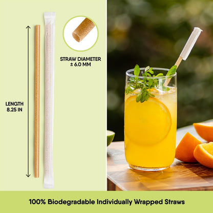 300 Individually Wrapped Eco-Friendly Drinking Straws, 8.25" Long, 6mm Diameter - Tampa Home & Garden Store