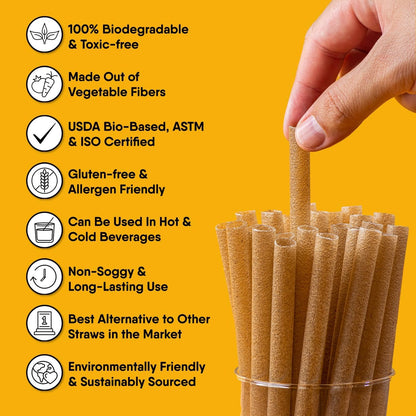 300 Individually Wrapped Eco-Friendly Drinking Straws, 8.25" Long, 6mm Diameter - Tampa Home & Garden Store