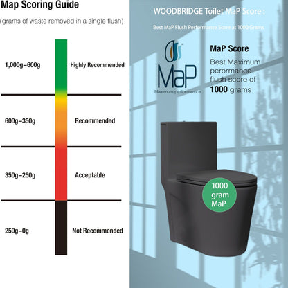 HouseOfZazla 1 Piece Toilet with Tornado/Dual Flush, ADA height, gray shown MaP 1000g badge on Tampa Home & Garden Store