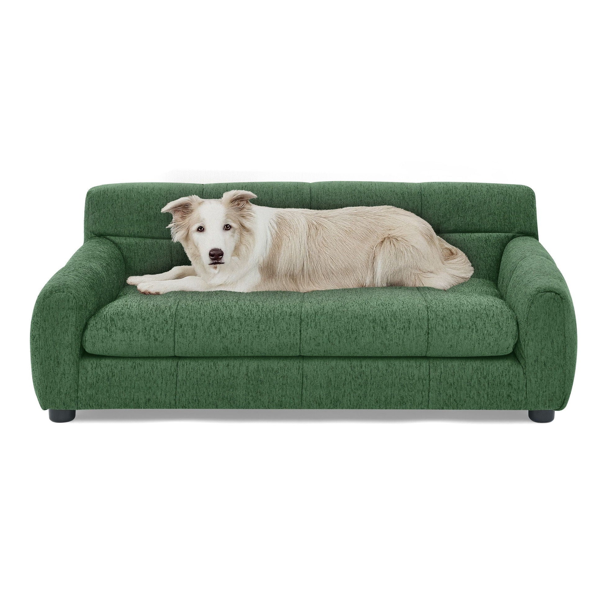 Modern Pet Sofa with Backrest and Armrests in green fabric, HouseOfZazla dog bed on Tampa Home & Garden Store