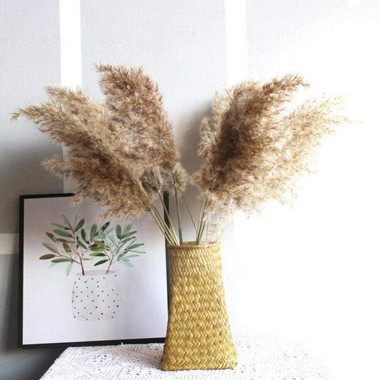 Natural dried pampas grass stems arranged in a tall woven basket vase with fluffy plumes on Tampa Home & Garden Store