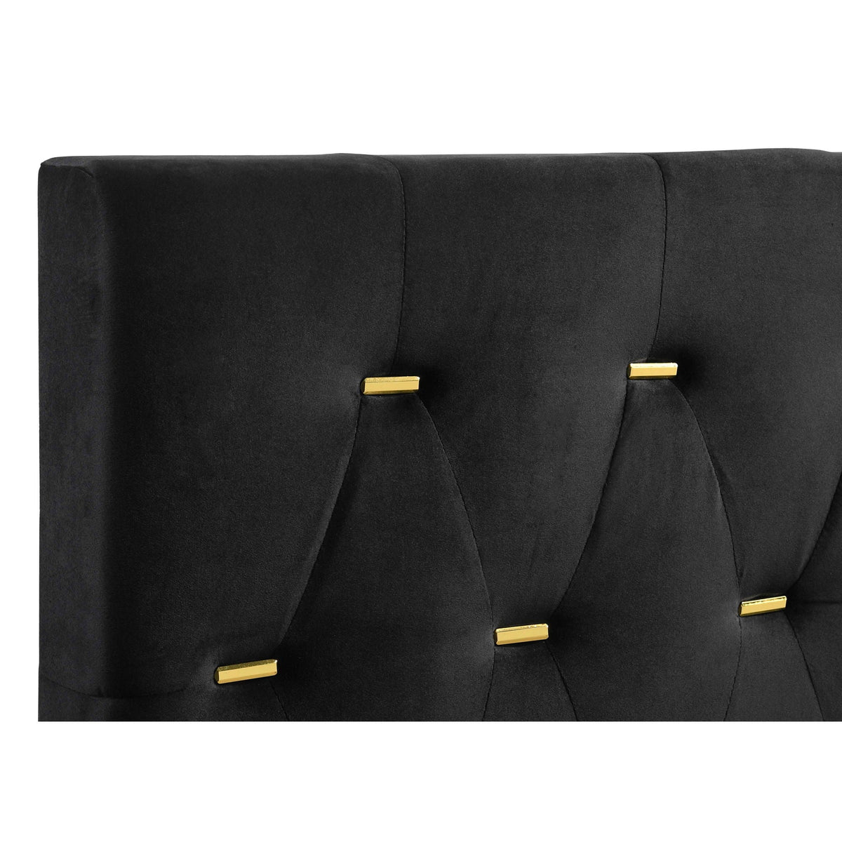 Lexie Tufted Panel Bed with a Soft Padded Frame